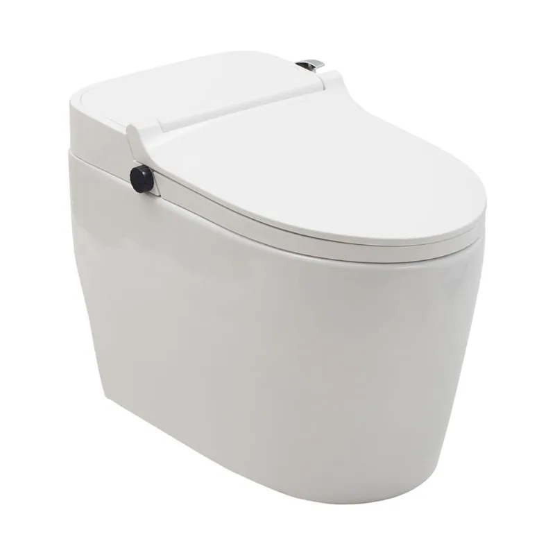 Vaso Sanitário Monobloco Caixa Acoplada Privada Bidê Celestita pingoo.casa - Branco
