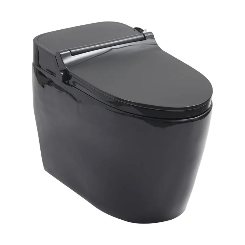 Vaso Sanitário Monobloco Caixa Acoplada Privada Bidê Celestita pingoo.casa - Preto