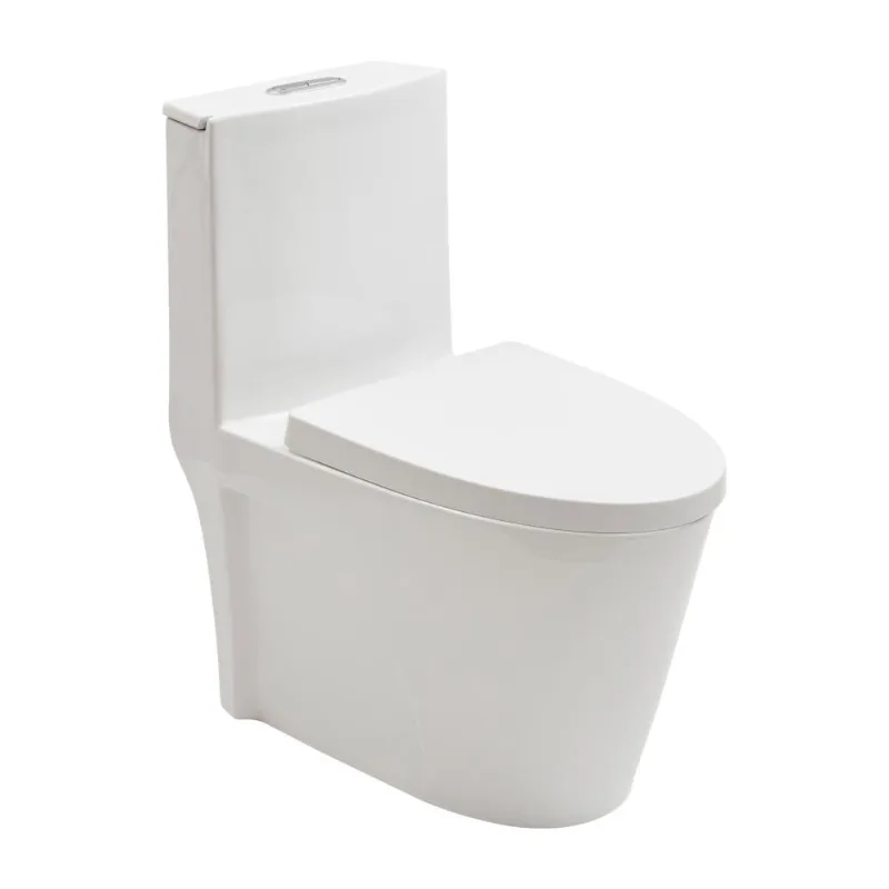 Vaso Sanitário Monobloco Painita pingoo.casa - Branco