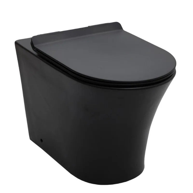 Vaso Sanitário Convencional Tanzanita pingoo.casa - Preto