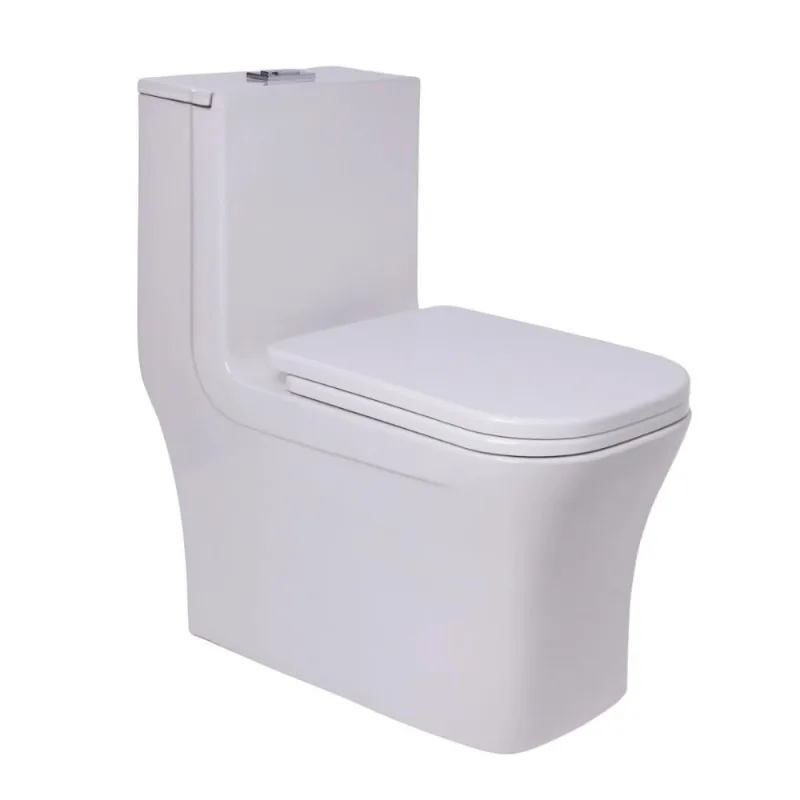 Vaso Sanitário Monobloco Caixa Acoplada Privada Jurerê Pingoo.casa - Branco