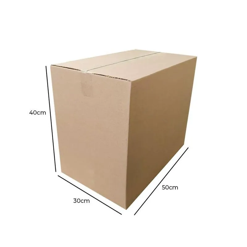 Kit Com 10 Caixas De Papelão Para Transporte M 50x30x40