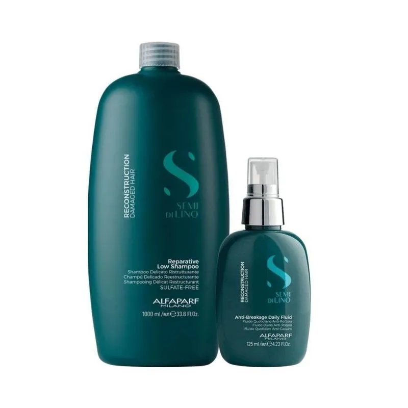 Alfaparf Semi Di Lino Reconstru Reparative Shampoo+fluido