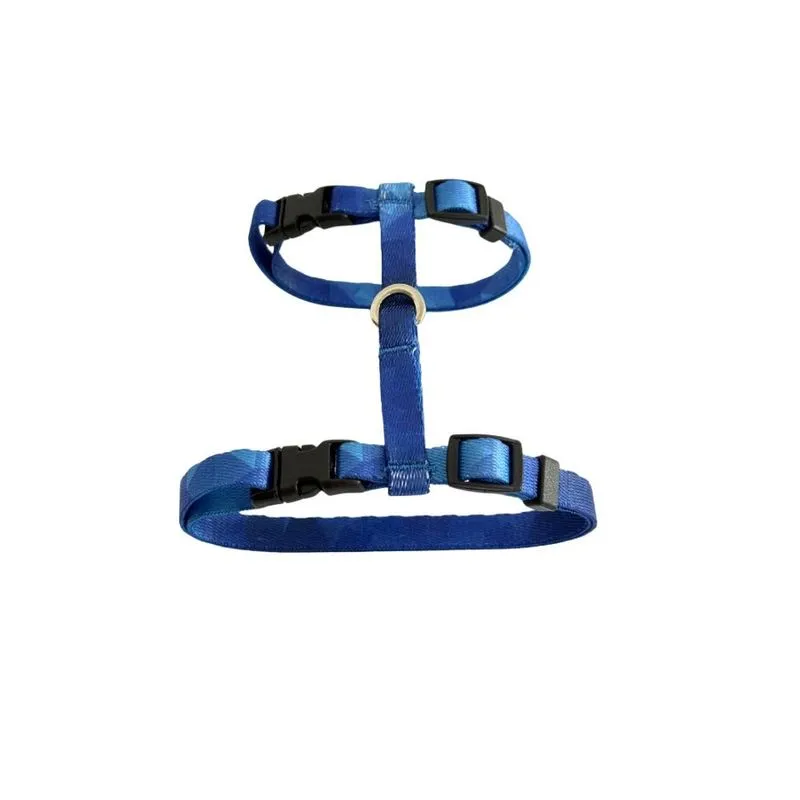 Peitoral H para Gato Premium Dogs Diamond Azul PP PP