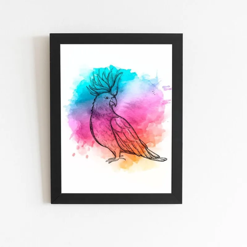 Calopsita Aquarela Passarinho Quadro Moldura Preta 60X40Cm