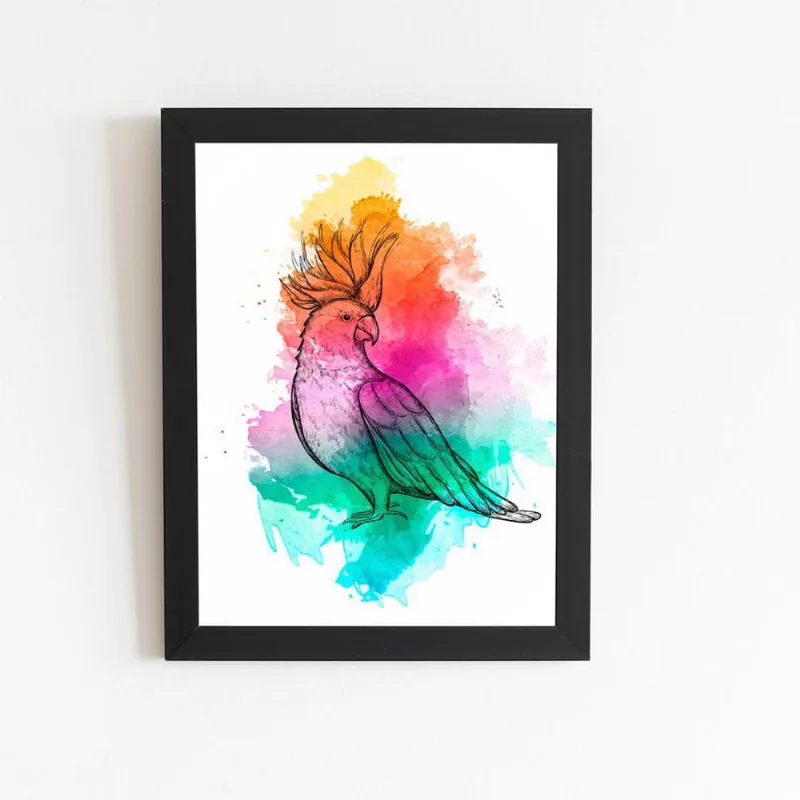 Calopsita Aquarela Pássaro Ave Quadro Moldura Preta 60X40Cm