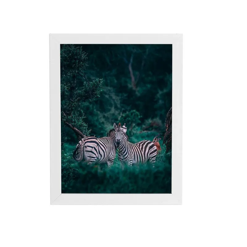Zebras Floresta Natureza Foto Quadro Moldura Branca 60X40Cm
