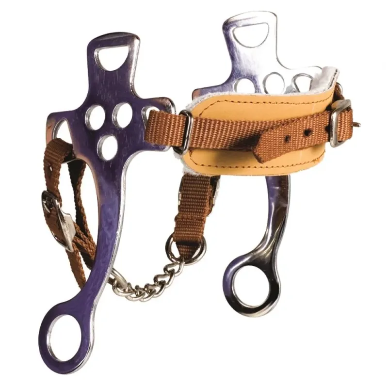HACKAMORE COM FOCINHEIRA DE LA