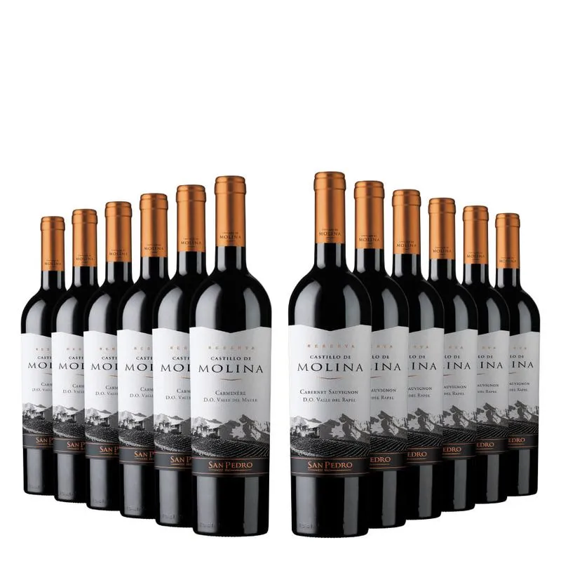 Kit Vinhos Castillo De Molina 3 12 Unidades