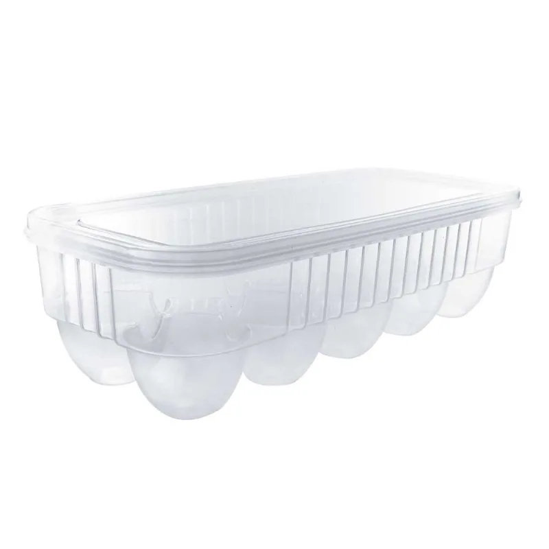 Organizador P/ Ovos 10 Cavidades 25,8x11,5cm em Plástico Fu Xing