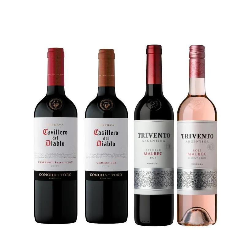 Kit Vinhos Argentina E Chile 750ml - 4 Garrafas