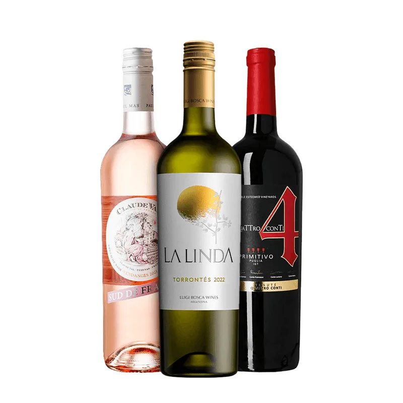 Kit 3 Vinhos Frutados (1 Tinto, 1 Branco E 1 Rosé) 750ml Shopvinho