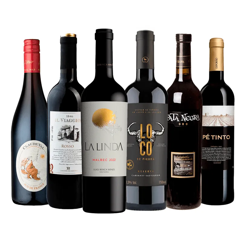 Kit 6 Vinhos Tintos Clássicos 750ml Shopvinho