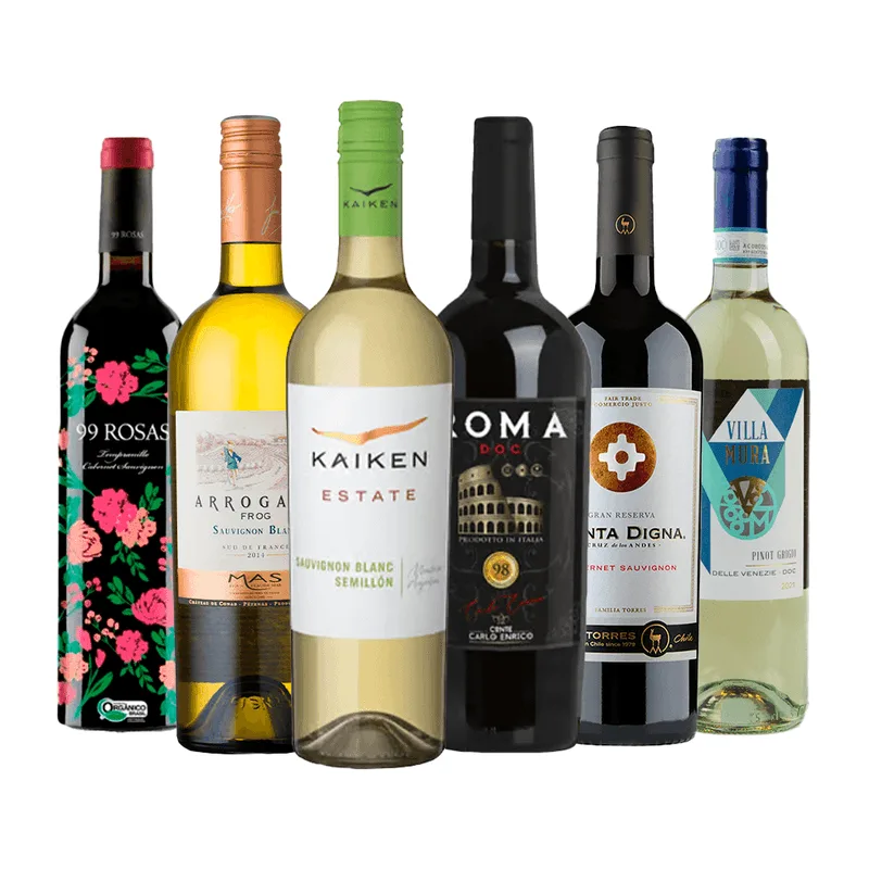 Kit 6 Vinhos 750ml (3 Tintos E 3 Brancos) Shopvinho