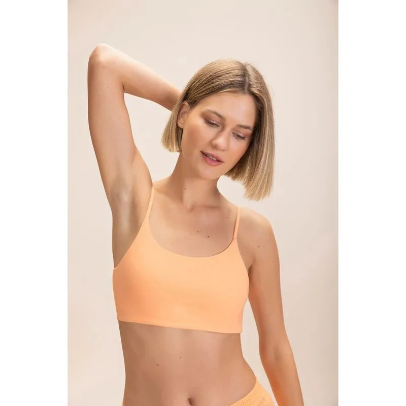 Top Live Curve Holiday
