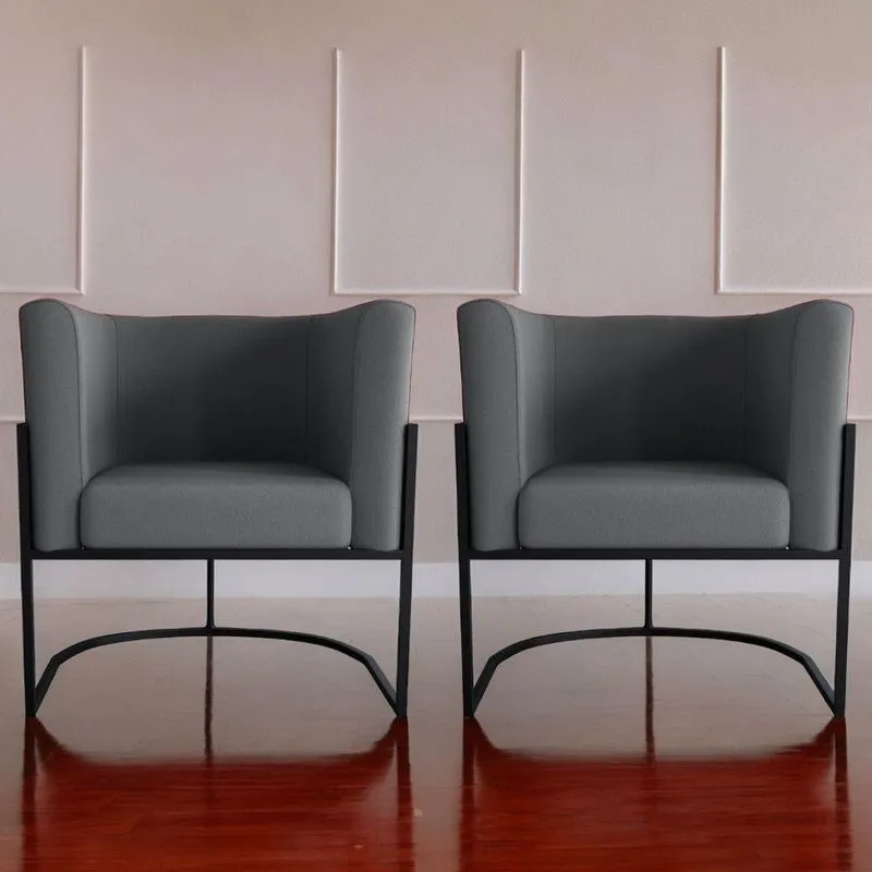 Conjunto De Poltronas Decorativas Craig Veludo Cinza