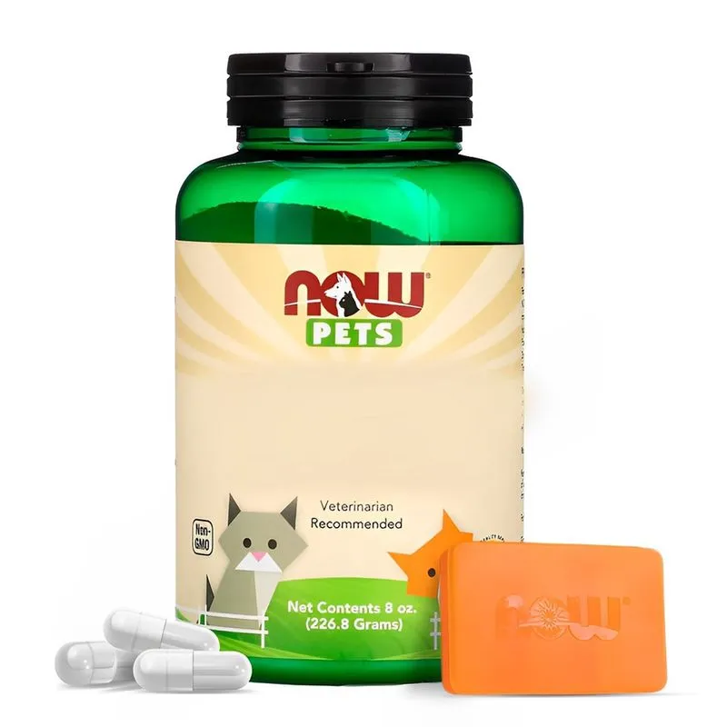 L-lisina em Pó p/Gatos Now Foods Pets 226.8g Importado + Porta Cápsulas