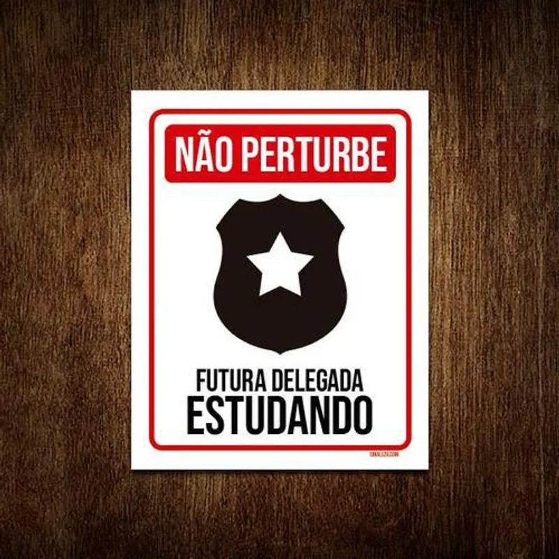 Placa Não Perturbe - Futura Delegada Estudando 36x46
