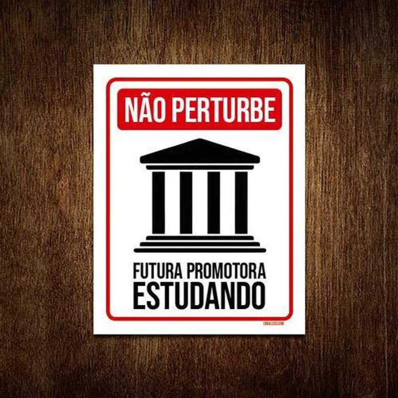 Placa Não Perturbe - Futura Promotora Estudando 36x46