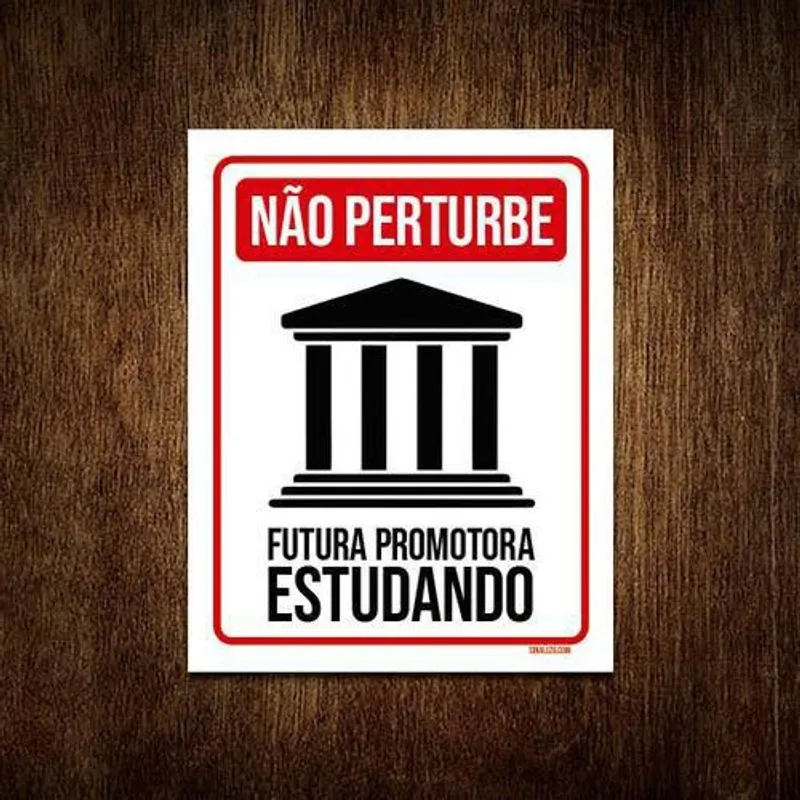 Placa Não Perturbe - Futura Promotora Estudando 18X23