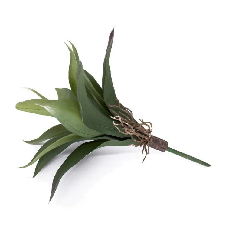Folha Artificial Agave Com Raiz X13 Para Arranjos Verde 25 Cm F04 - D'rossi