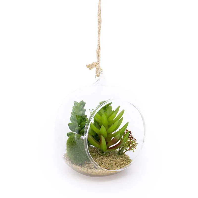 Flor Suculenta Com Vaso De Vidro Para Pendurar Sala Verde 11 Cm F04 - D'rossi