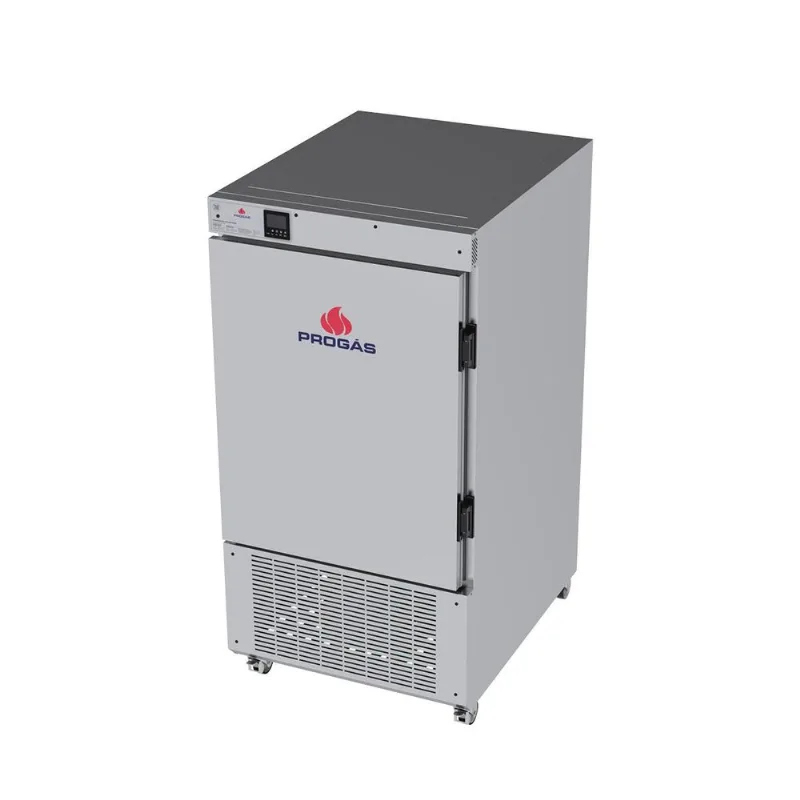 Armário Crescimento Câmara Padeiro Noturno Inox 5c A 60c 10 Esteiras Prcl-100 220v - Progás - Progás