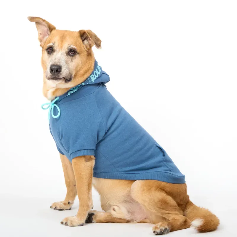 Moletom Partiu Rolê Azul para Cães Emporium Distripet P