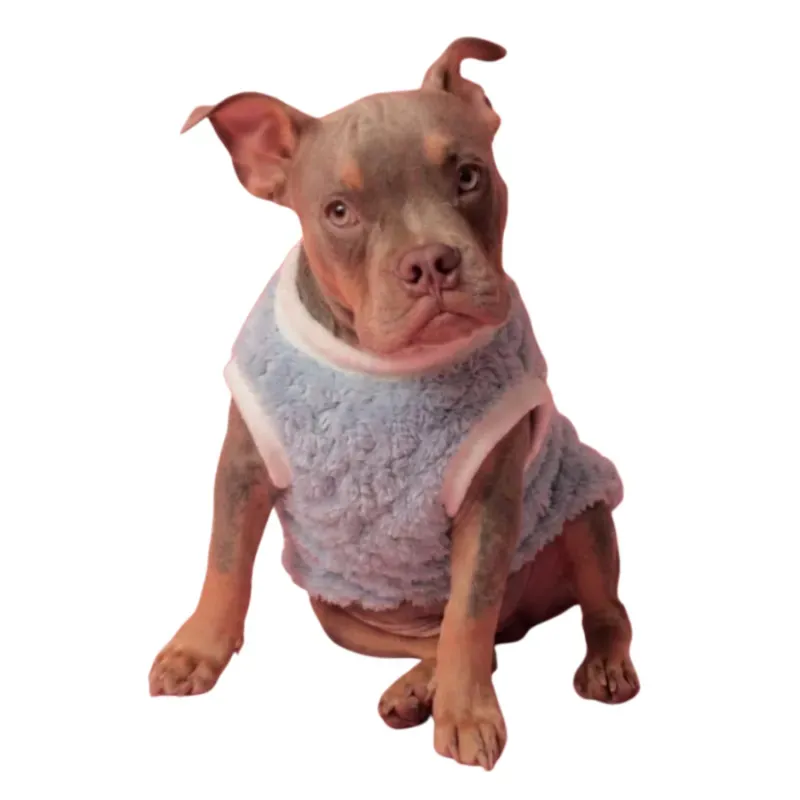Casaco Blizzard para Cães Emporium Distripet Rosa 4XL