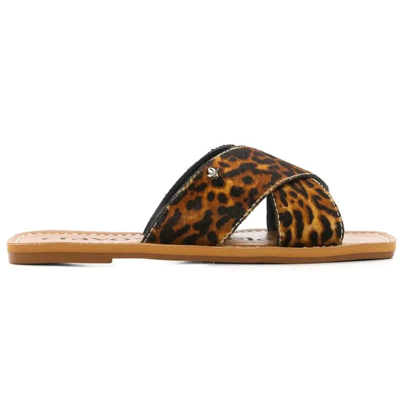 Rasteira Cravo & Canela Feminina Animal Print 38