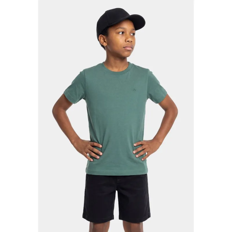 Camiseta Manga Curta Infantil Básica Verde Bandeira - 4
