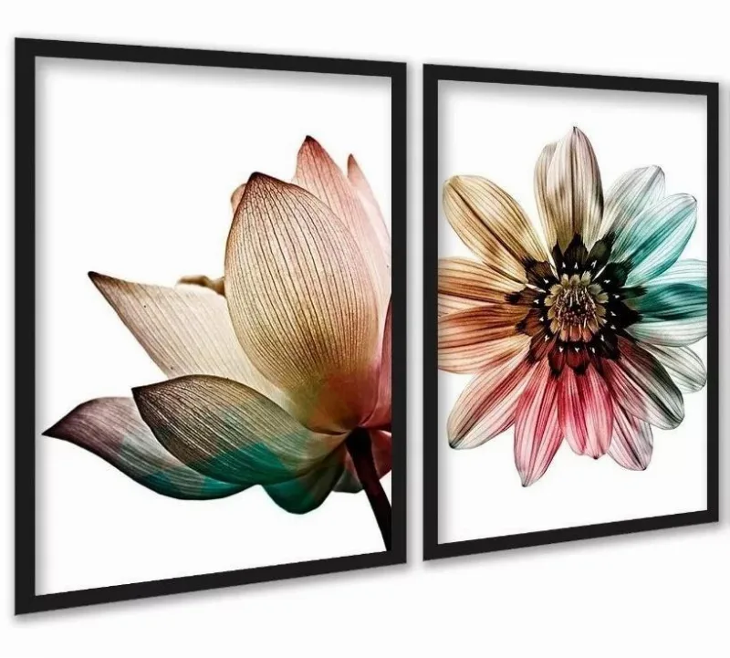 Kit 2 Quadros Decorativos Floral Colorido Arco Iris 45x34cm