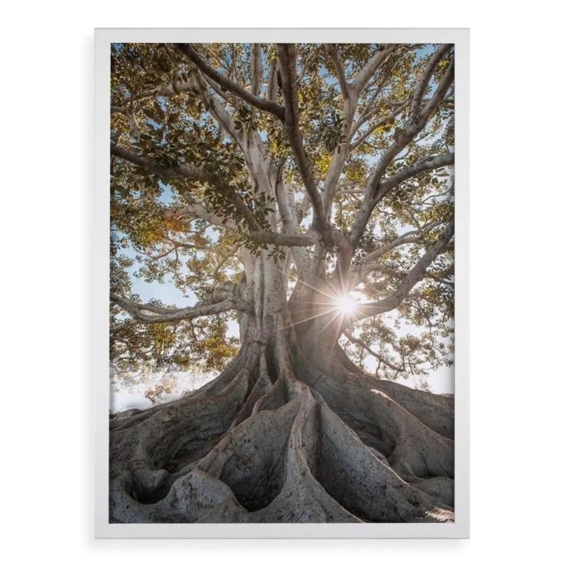 Quadro Decorativo Raízes - Árvore 45x34cm - Com Vidro