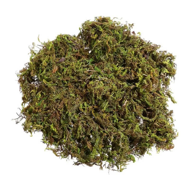 Musgo Verde Para Arranjos