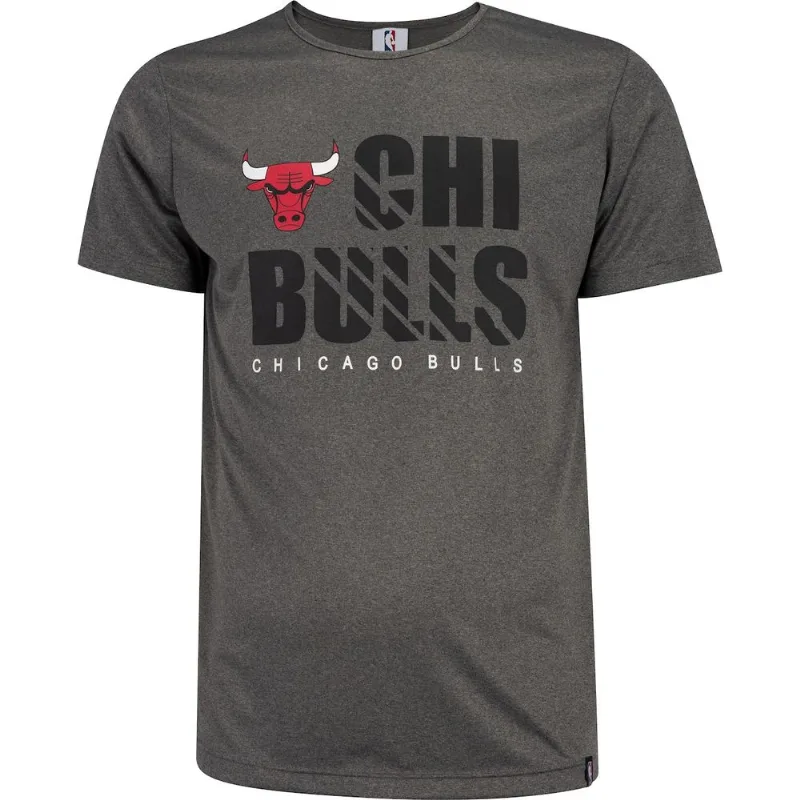 Camiseta Chicago Bulls NBA Bang - Masculina Cinza P