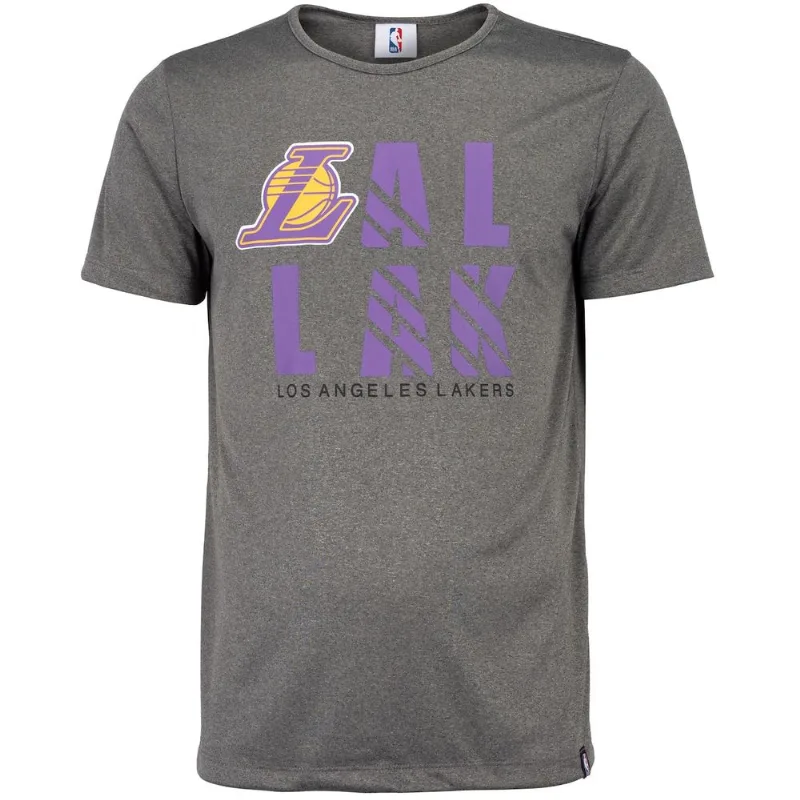 Camiseta Los Angeles Lakers NBA Bang Manga Curta - Masculina Cinza GG