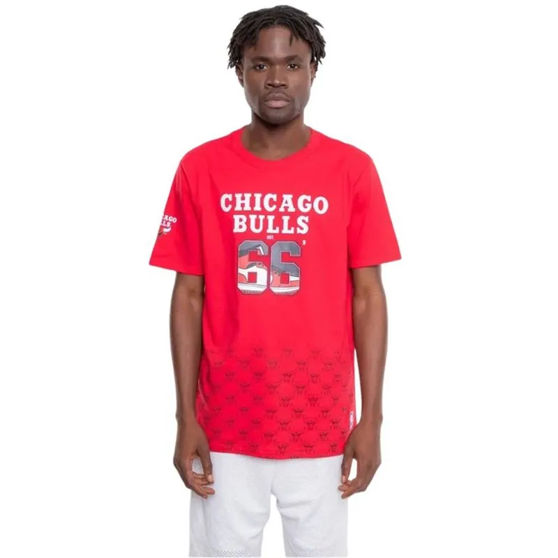 Camiseta nba masculina chicago bulls sneakers