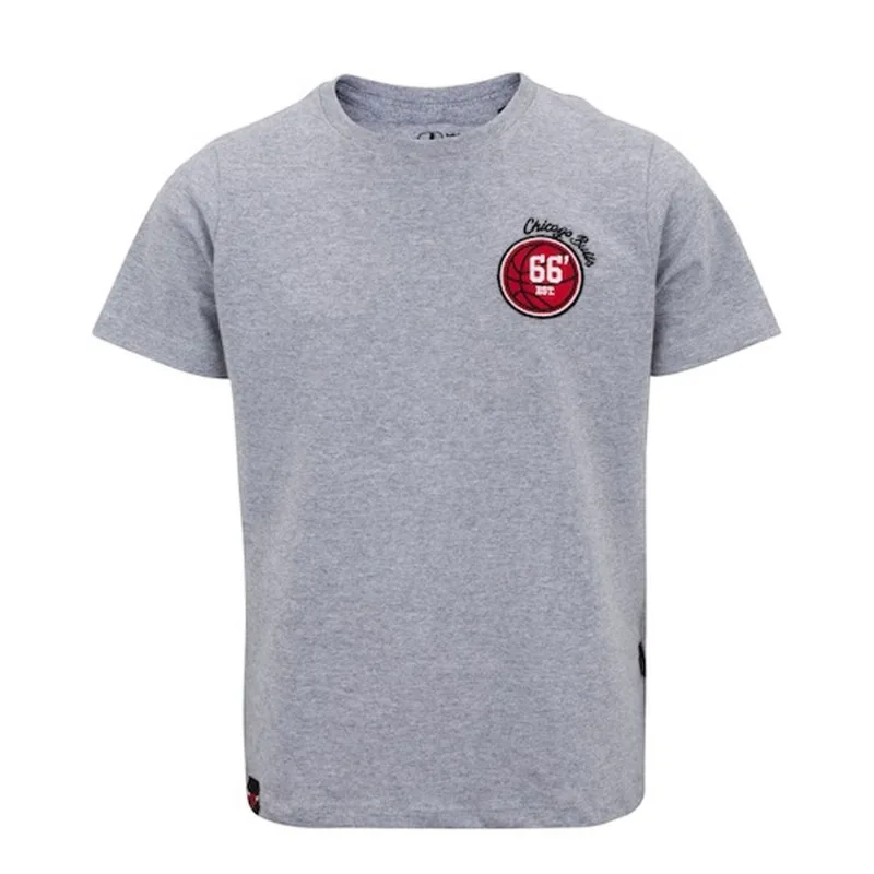 Camiseta Nba Masculina Chicago Bulls Score Team