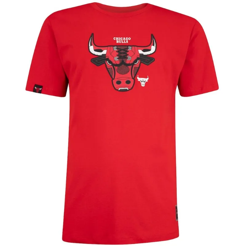 Camiseta Nba Masculina Chicago Bulls Sneaker