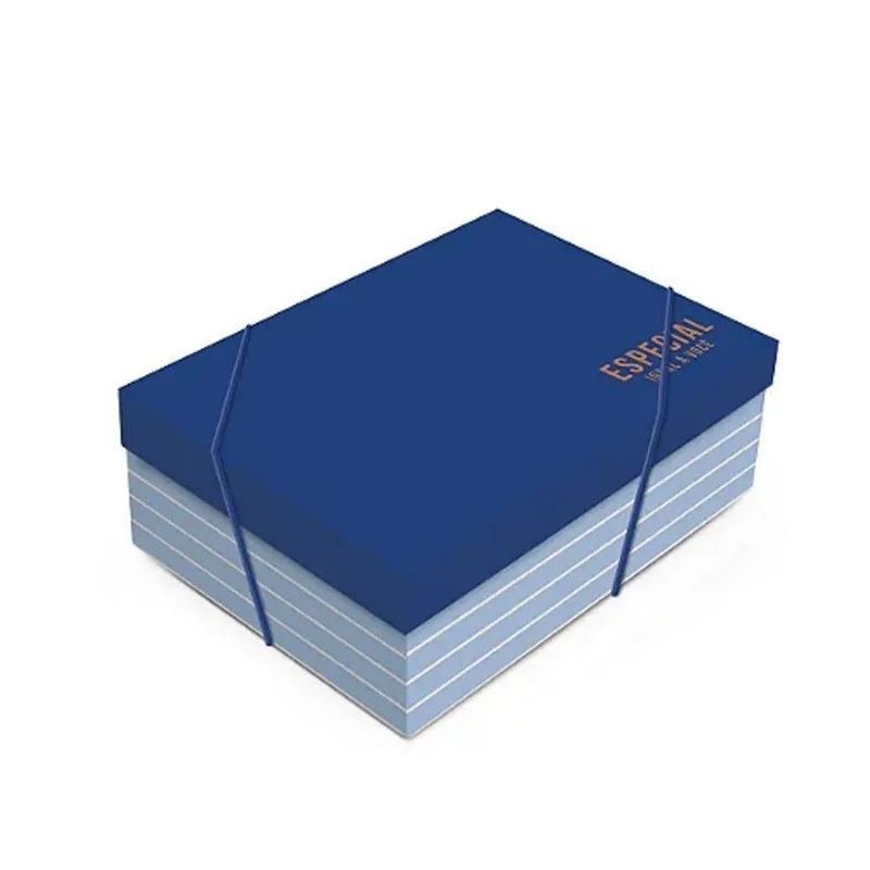 Kit Caixa Retangular Com Tampa Polo G 46x33x14cm - 10 Un