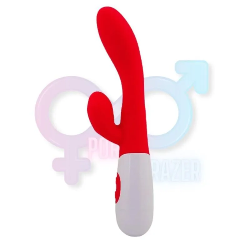 Vibrador Profissional Elétrico Sem Fios Of23