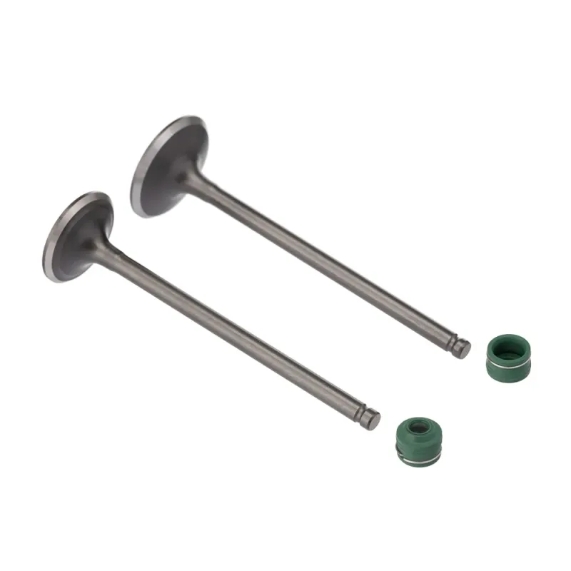 VALVULA E RETENTOR KIT (4PCS) WW3 CG 125 02/08