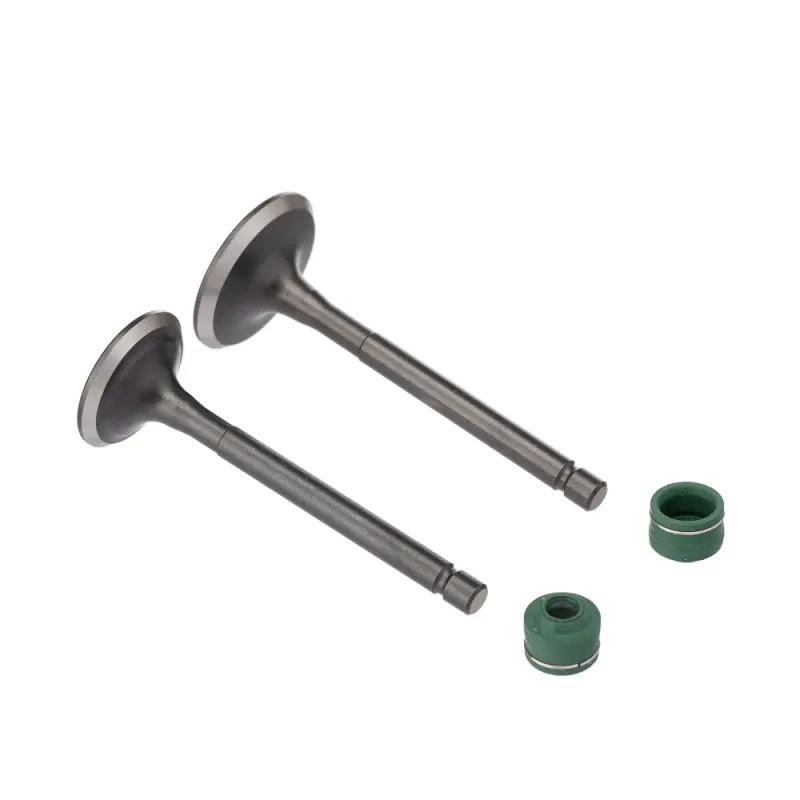 VALVULA E RETENTOR KIT (4PCS) WW3 YBR 125 00/ - XTZ 125 03/
