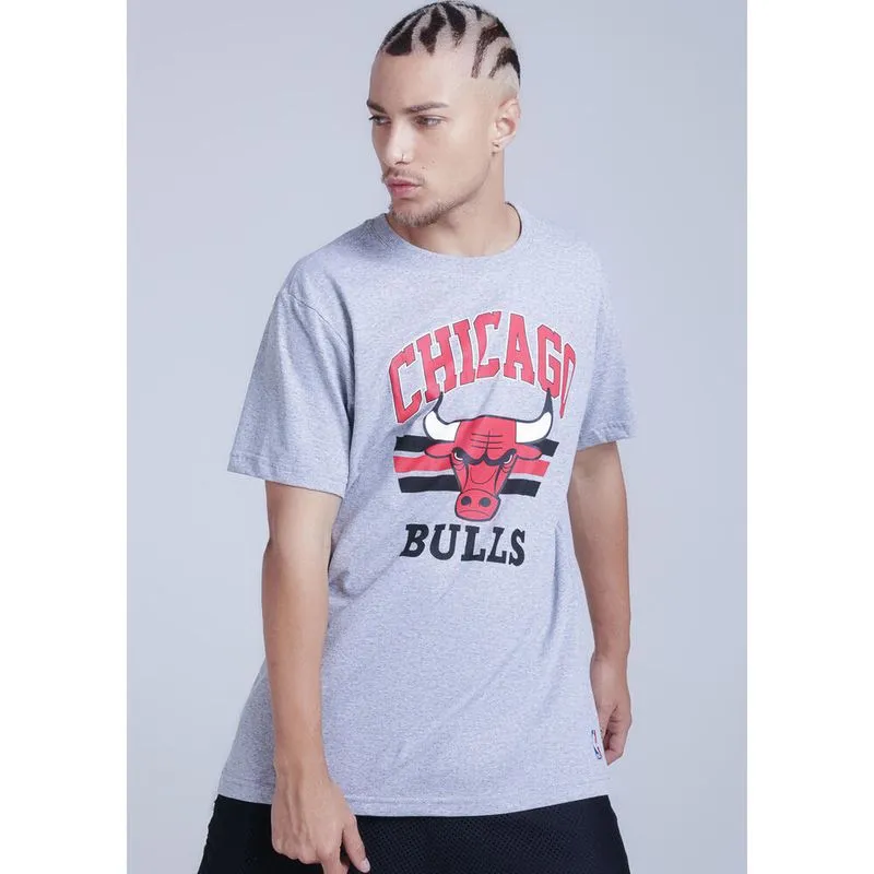 Camiseta Masculina de Basquete Bulls *camiseta nba bulls cinza, 2xl M