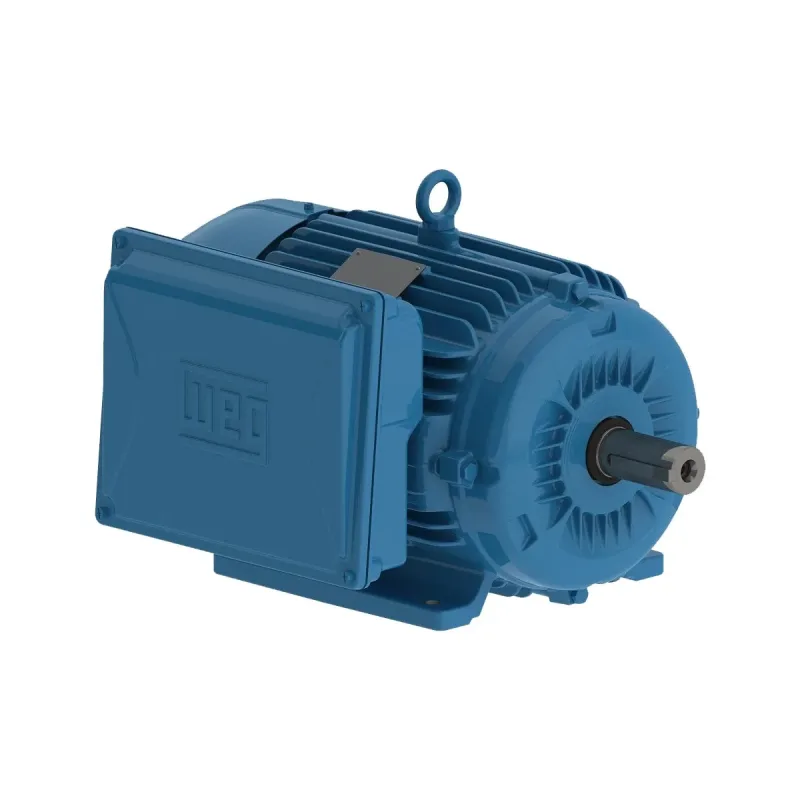 Motor Elétrico WEG 2CV Monofásico 4 Polos 220/440V Carcaça -100L- - Baixo consumo de energia