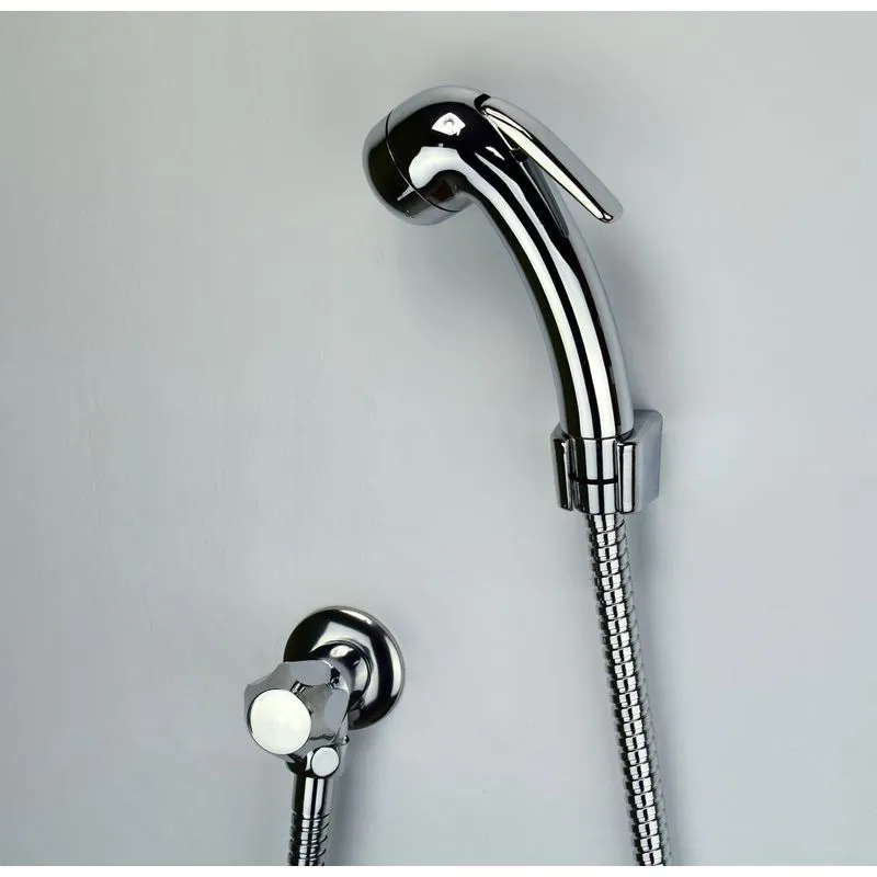 Ducha Higienica Com Registro Cromado Com Flexivel 1,20