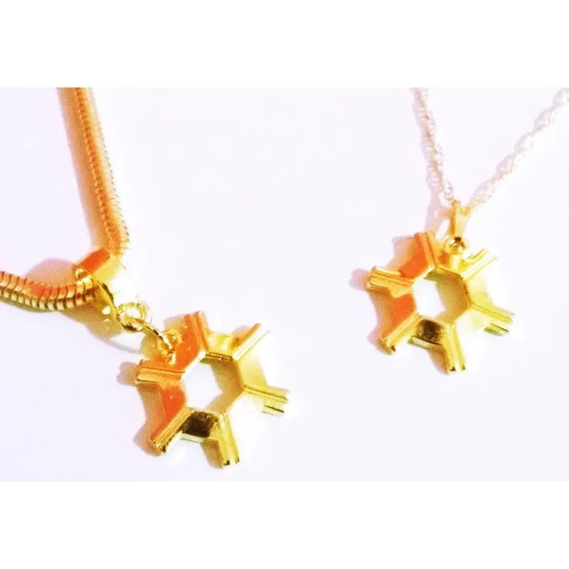 Conjunto Colar E Pulseira Agronomia Agrônomo Folheado