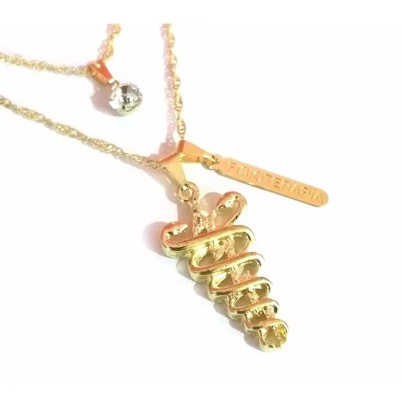 Colar Cordão Duplo Fisioterapia Com Placa Folheado