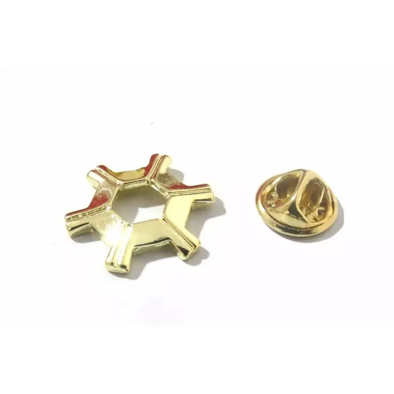 Broche Engenharia Agrônomo Agronomia Folheado 18k