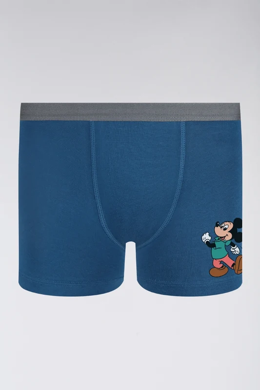 Cueca Disney KM Boxer Mickey and Friends Azul / G (09 a 11 anos)